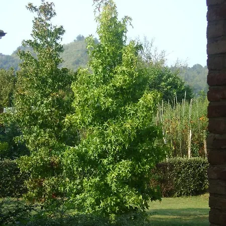 Villetta Nel Verde Con Parcheggio Villa *